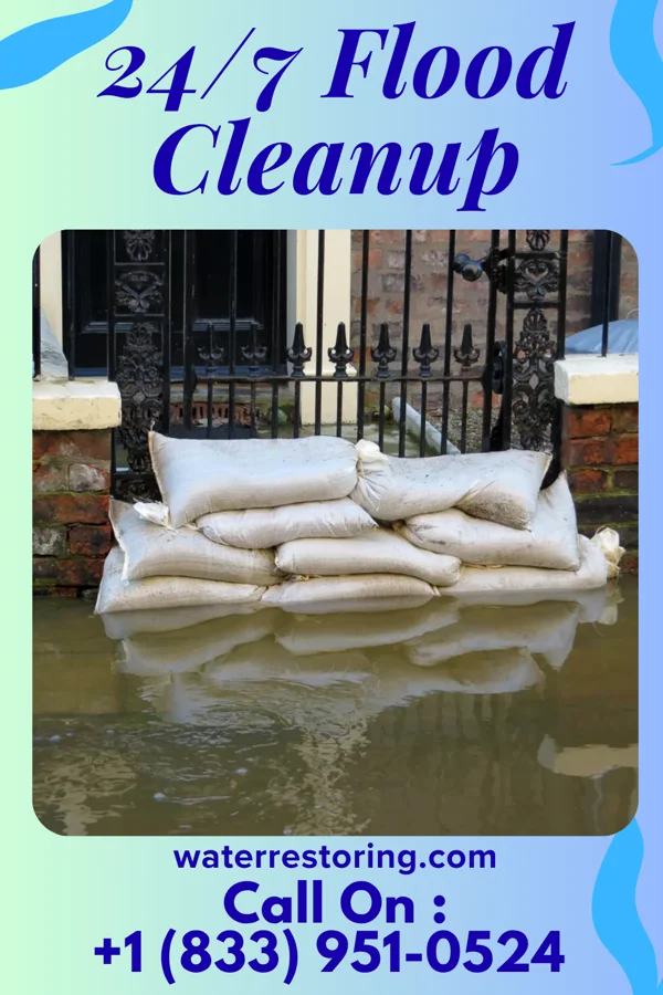24/7 Flood Cleanup in Colony Park, PA