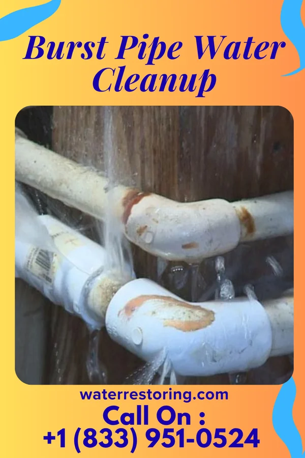 Burst Pipe Water Cleanup in Colony Park, PA