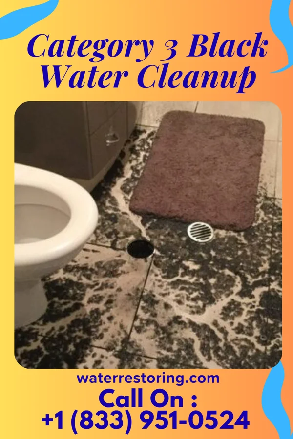 Category 3 Black Water Cleanup in Colony Park, PA