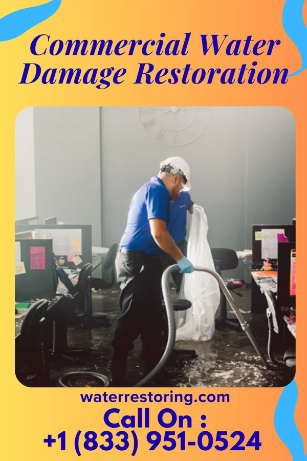 Commercial Water Damage Restoration in Colony Park, PA