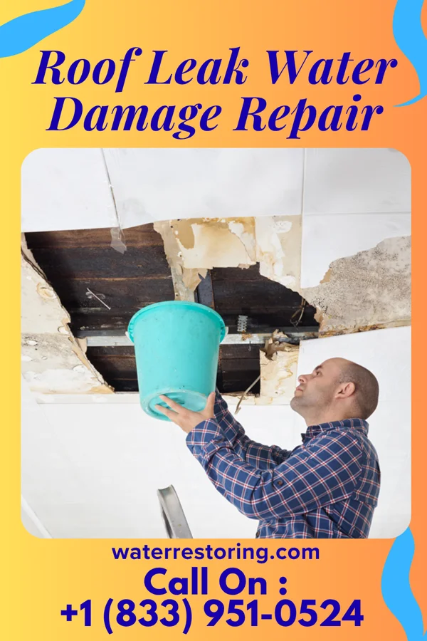 Roof Leak Water Damage Repair in Colony Park, PA
