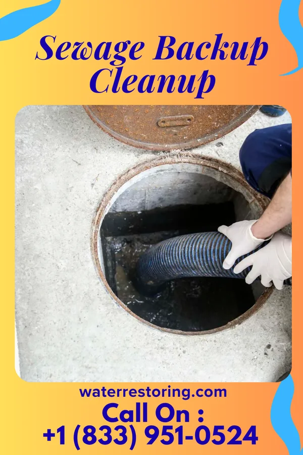 Sewage Backup Cleanup in Colony Park, PA
