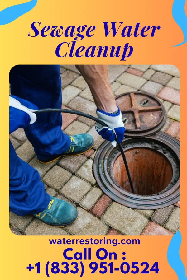 Sewage Water Cleanup in Colony Park, PA