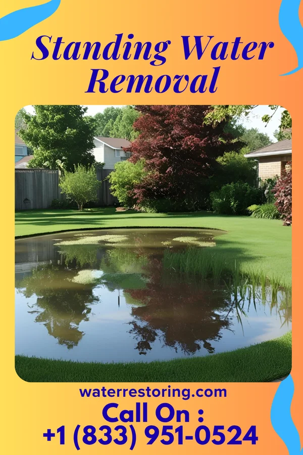 Standing Water Removal in Colony Park, PA